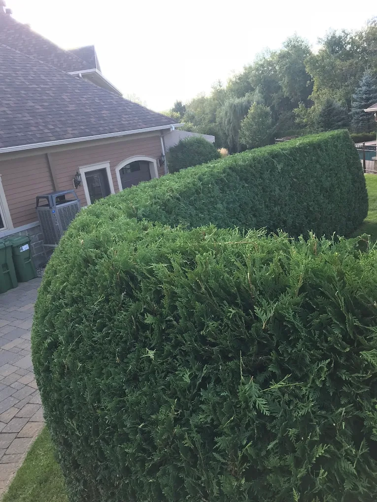 Projet résidentiel - Avant/Après